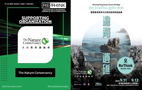 From Coastal Crisis to Corporate Action: The Nature Conservancy Brings